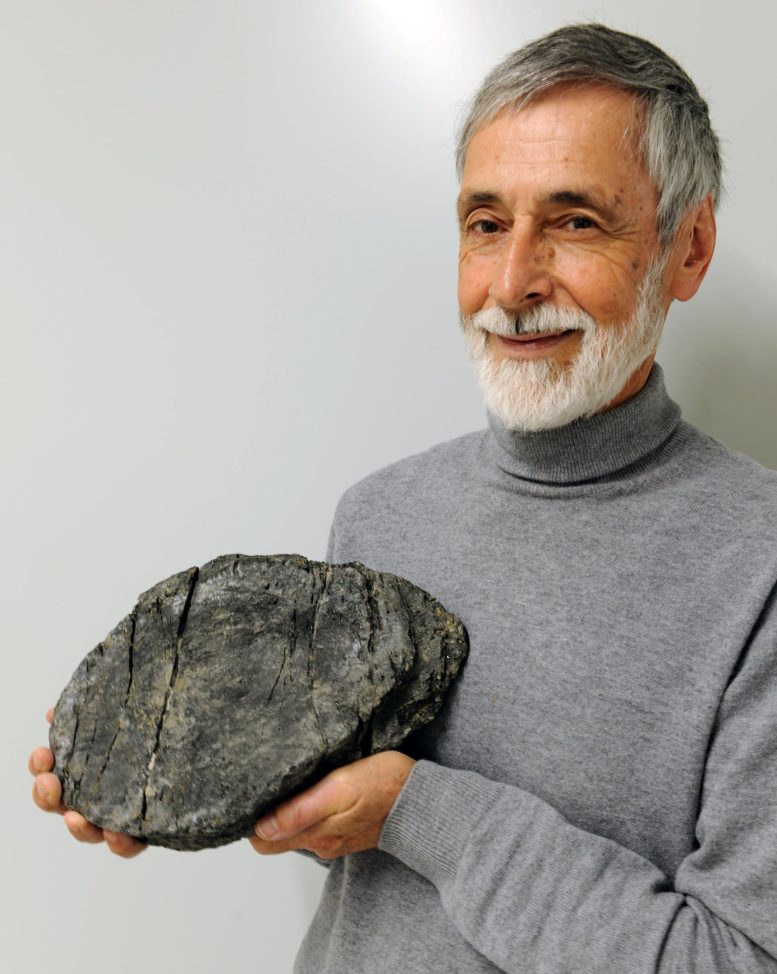 Heinz Furrer With Large Ichthyosaur Vertebrae