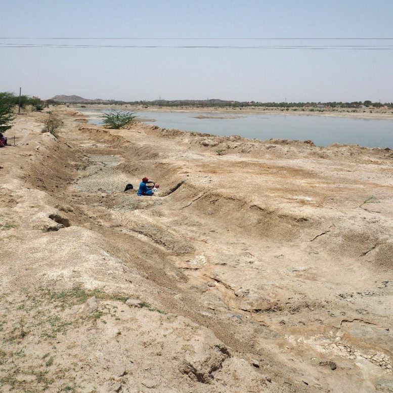 Prof Hema Achyuthan returning to examine the lakeside sediment sequences of Singi Talav following previous research from the 1980’s, revealing that the site preserves Acheulean stone tool assemblages and evidence for the ecology of ancient landscapes inhabited by past human populations