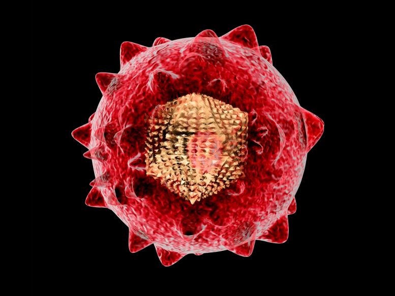 Hepatitis C Virus Illustration