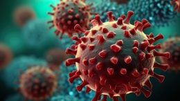 Hepatitis Virus Cells