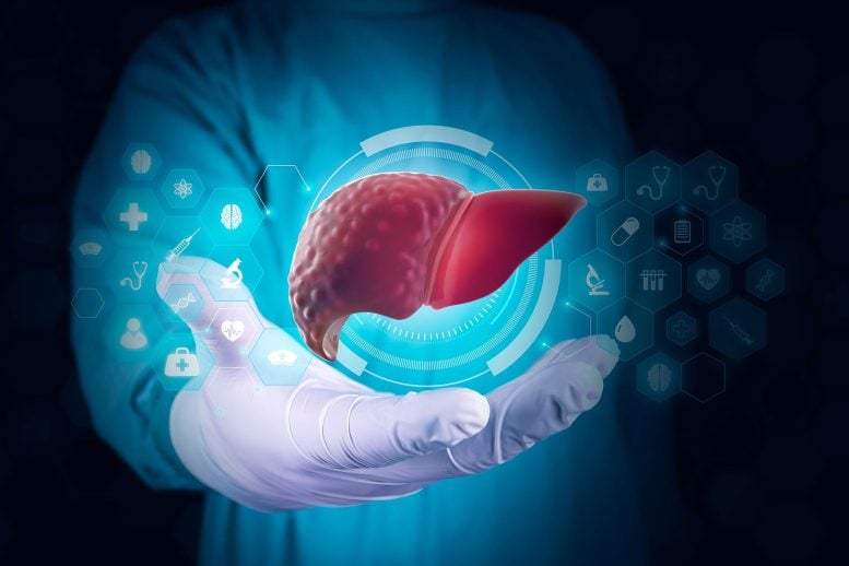 Hepatologist Doctor Liver Cirrhosis Hepatitis