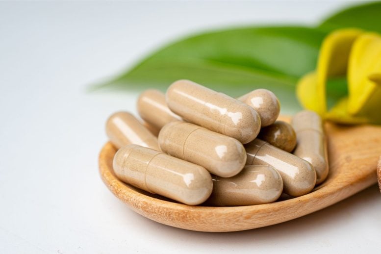 Herbal Supplement Pills