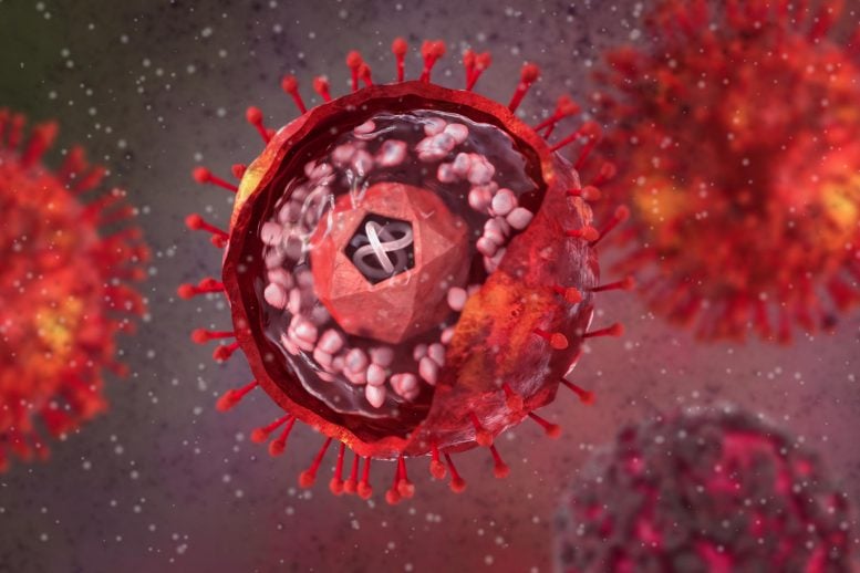 Herpes Simplex Virus Type One 3D Structure