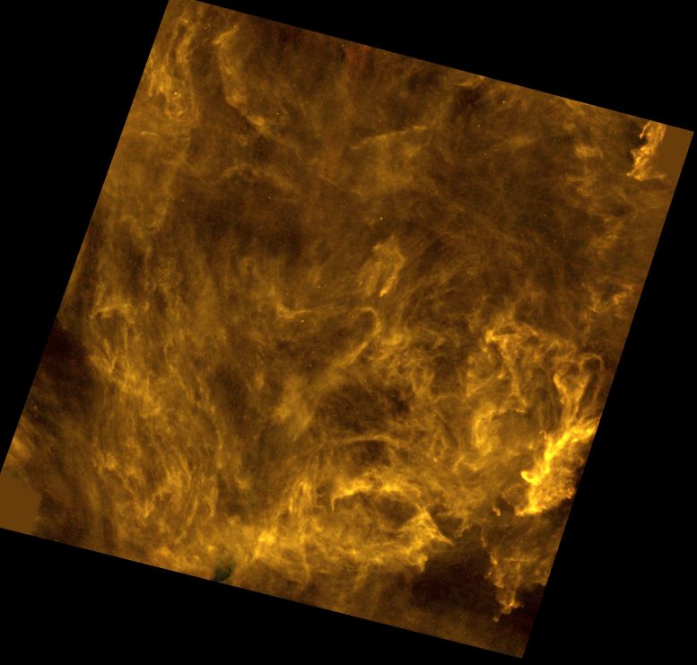 Herschel Polaris Flare