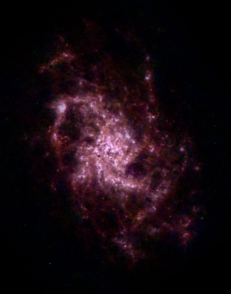 Herschel Views the Triangulum Galaxy