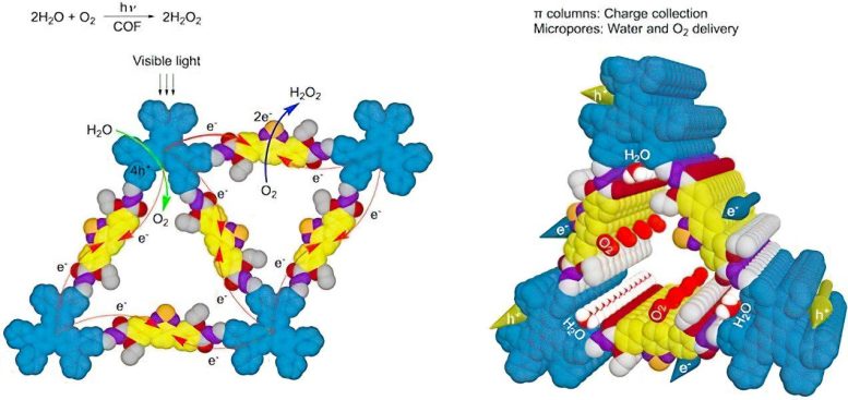 Hexavalent Covalent Organic Framework Material That Mimics Photosynthesis