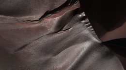 HiRISE Views Gullies on Martian Sand Dunes