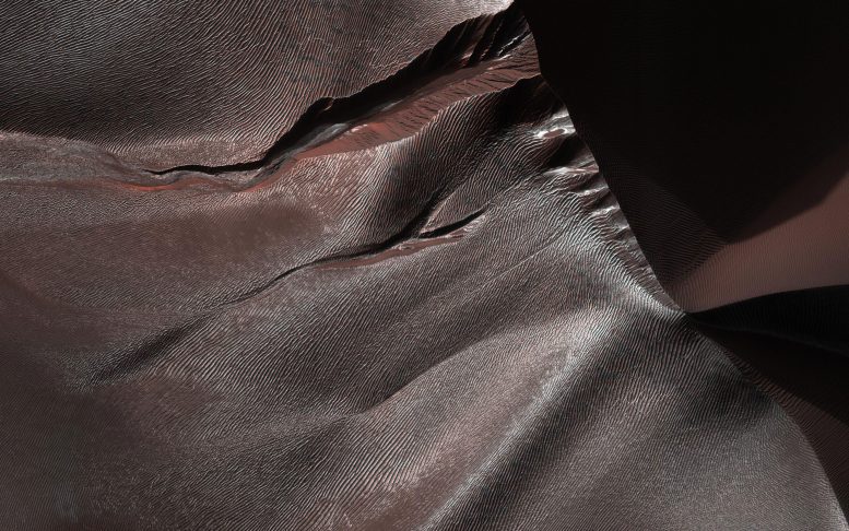 HiRISE Views Gullies on Martian Sand Dunes