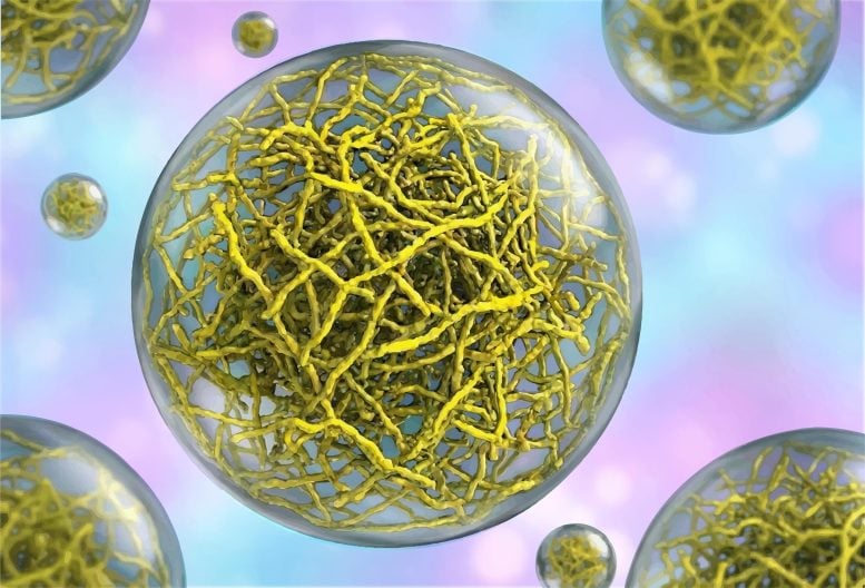 Scientists Discover Hidden Structure Inside Cells’ “Liquid” Droplets