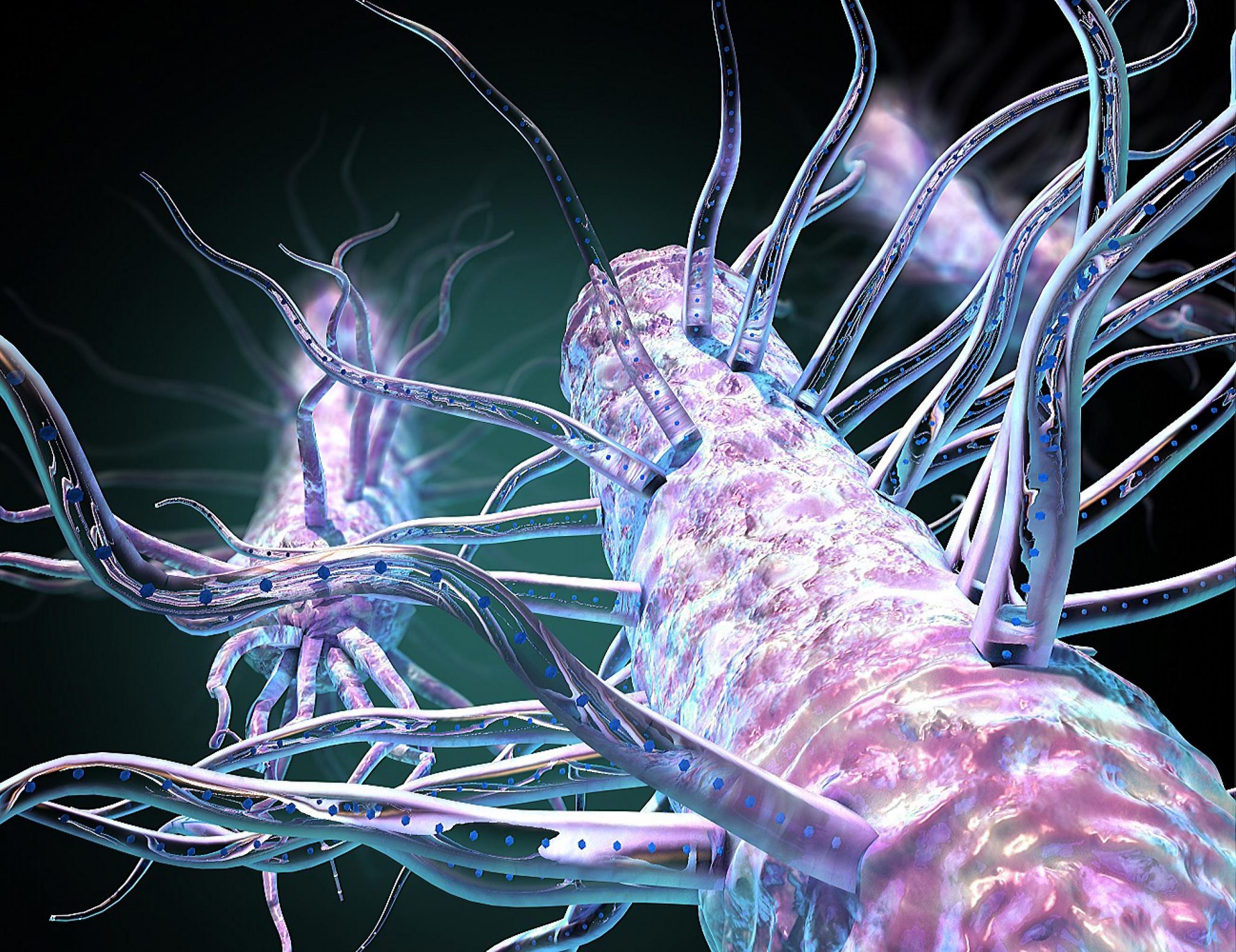 Hidden Bacterial Hairs