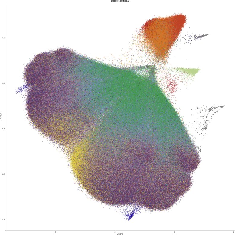 Hidden Genetic Differences Between Male and Female Immunity Map