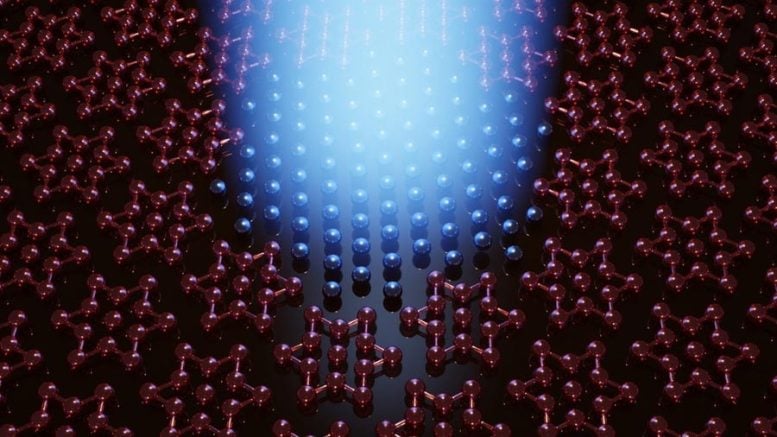 Hidden Quantum Phase in 2D Crystal