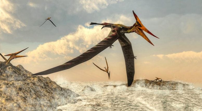 High Flying Pteranodon