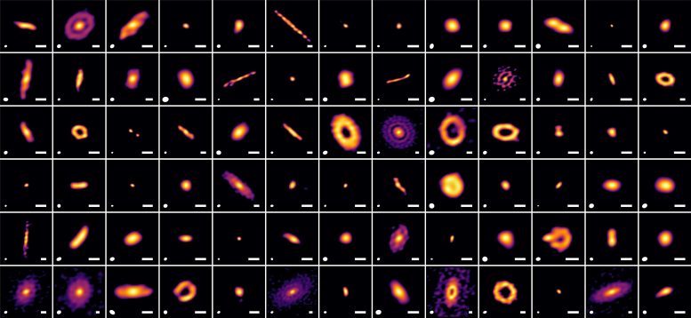 High-Resolution Images of Protoplanetary Disks in Ophiuchus