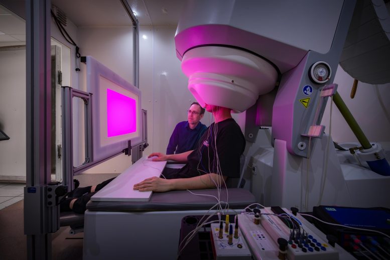 High Resolution MEG Imaging in Action