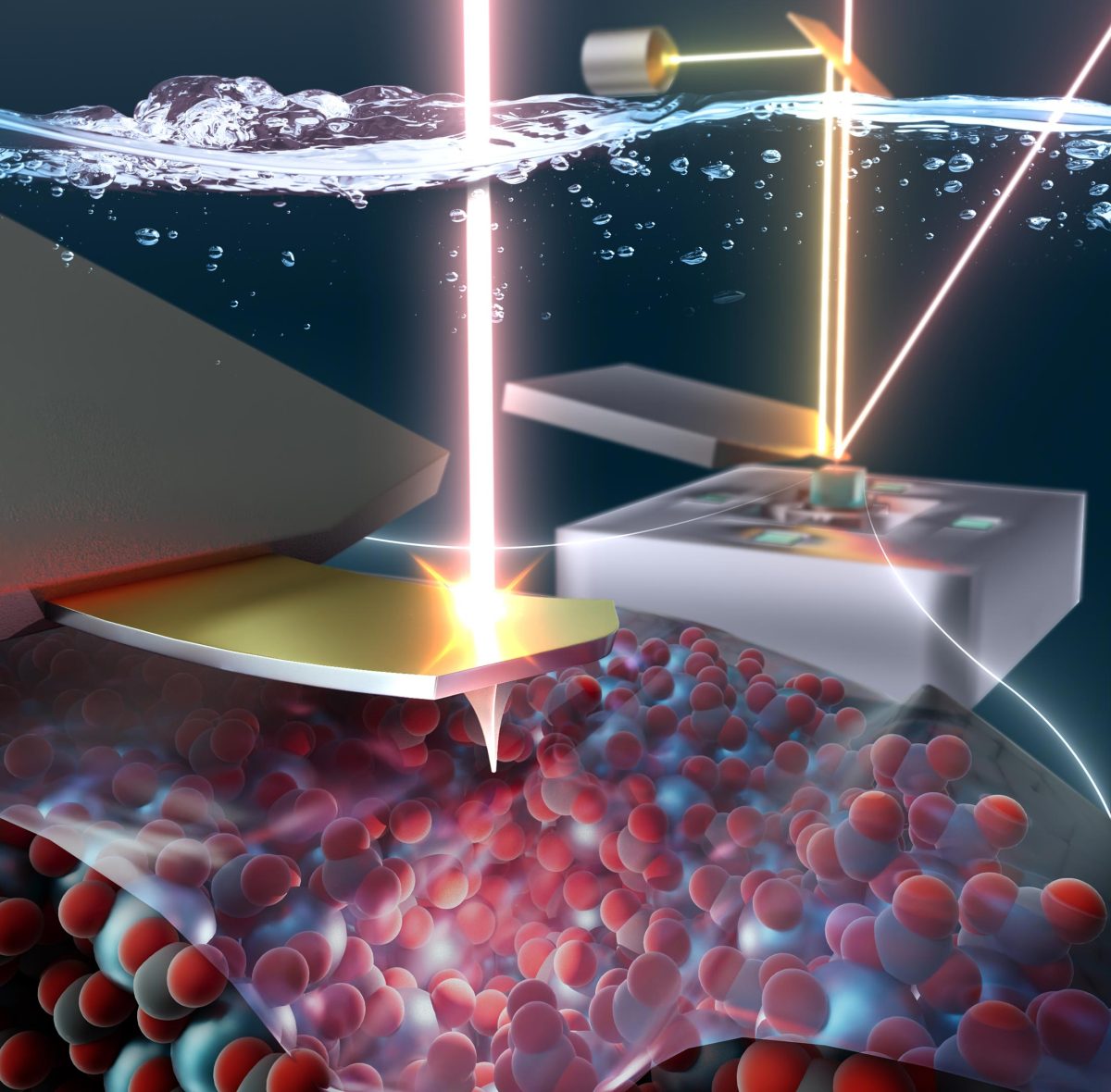 Atomic Force Microscopy Confirms Long-Disputed Hydration Layer in ...
