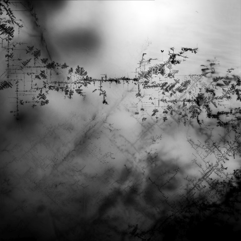 Highways for Electrons Inside Perovskite Crystal