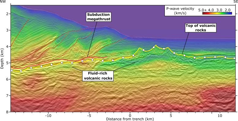 Seismic profile of the Hikurangi Plateau