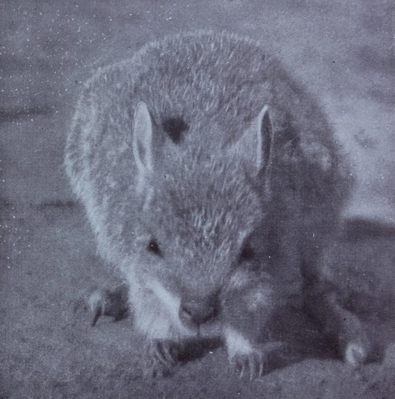 Historic Photos of the Ngudlukanta