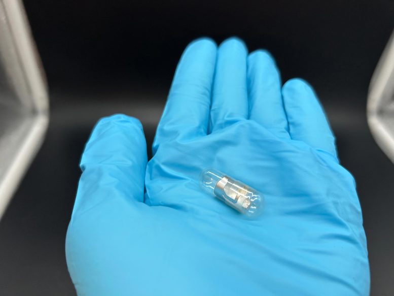 Holding MIT Smart Pill