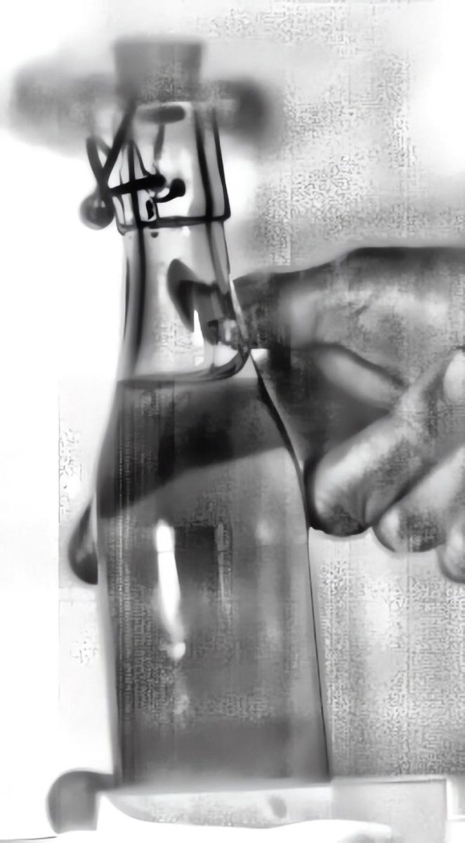 Homebrewed Bottle of Beer Black and White Frame