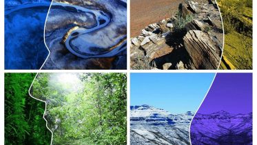 Homo Sapiens' Secret of Success