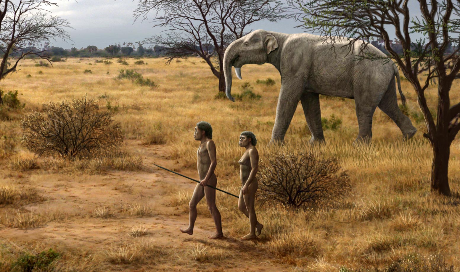 “Meat Made Us Human” Evolutionary Narrative Starts To Unravel - SciTechDaily