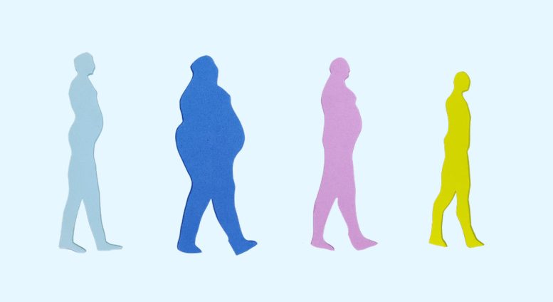L'ormone predice la capacità di mantenere la perdita di peso
