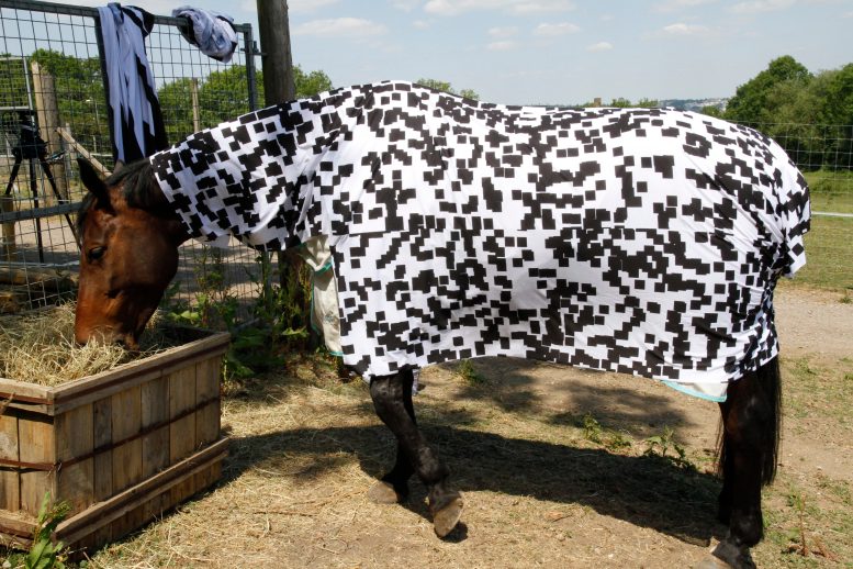 Horse Patterned Blanket