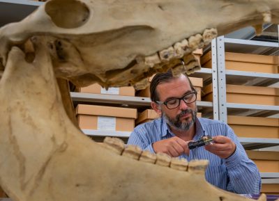 New DNA Evidence Rewrites Ancient American History