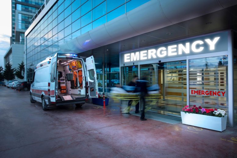 Hospital Emergency Paramedics