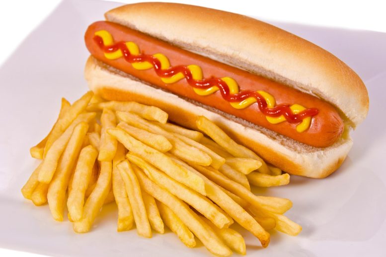 Hot Dog and French Fries