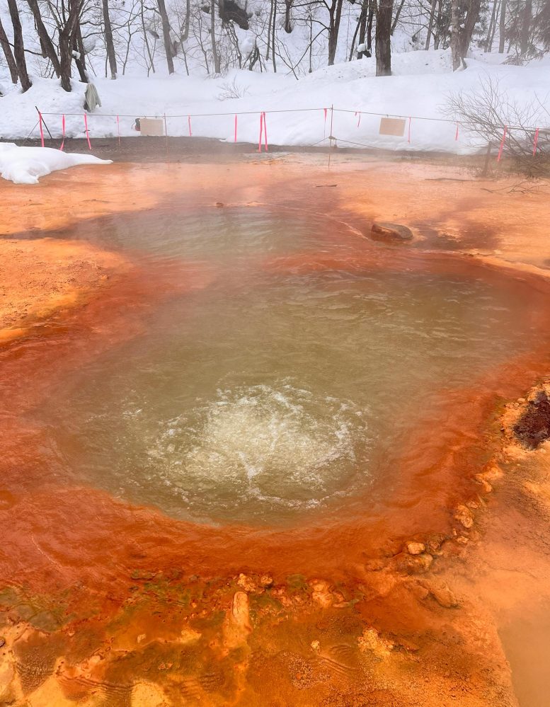 Hot Spring CO2 Bubbles