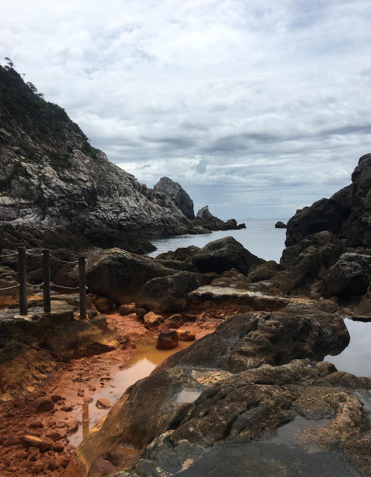 Ancient Hot Springs Reveal How Life Survived on a Toxic Early Earth