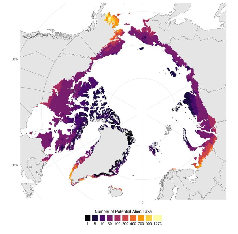 Hotspots for Possible New Alien Vascular Plants in the Arctic