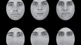 How Masks Disrupt Facial Perception