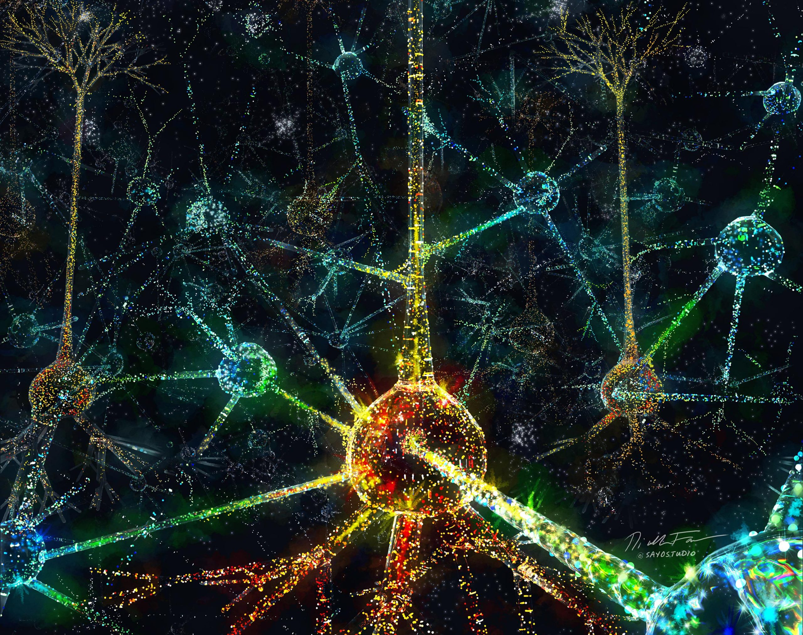 Cracking the Neural Code to the Brain: How Do We Provide Meaning to Our Environment? thumbnail
