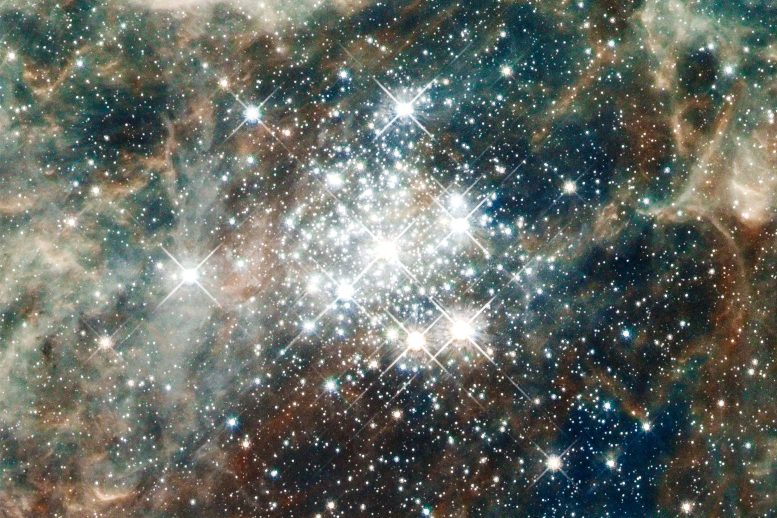 Hubble 30 Doradus: Hodge 301