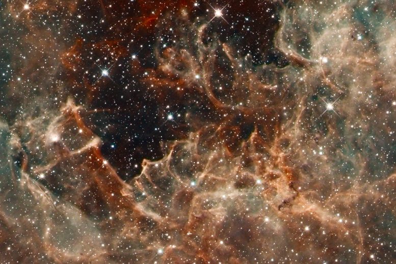 Hubble 30 Doradus Massive Stars in R136