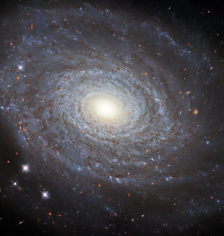 Hubble Galaxy NGC 691