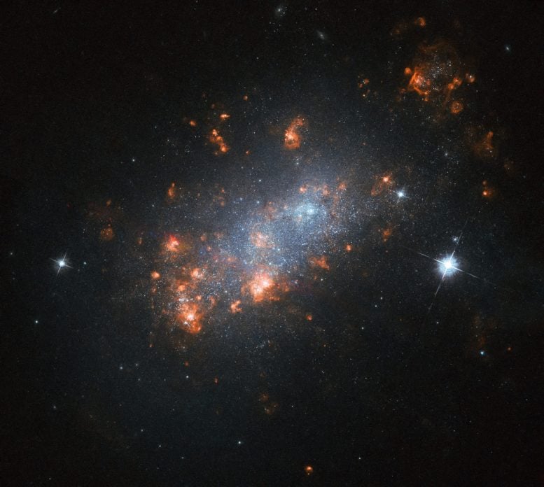 Hubble Image of NGC 1156
