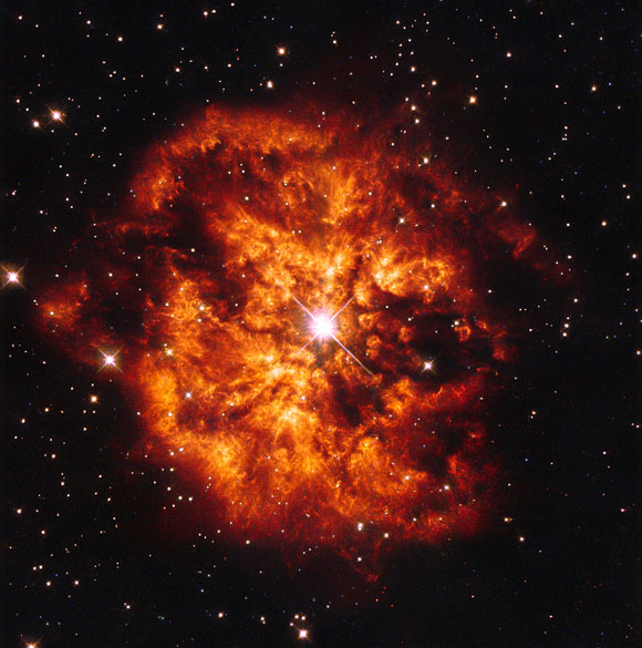 Hubble Image of Star Hen 2-427 and Nebula M1-67