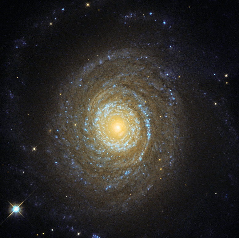 Hubble Image of the Week NGC 6753