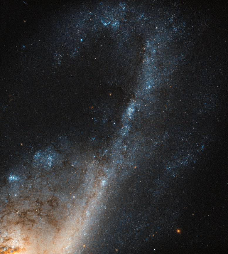 Hubble Image of the Week Starbursts in NGC 4536