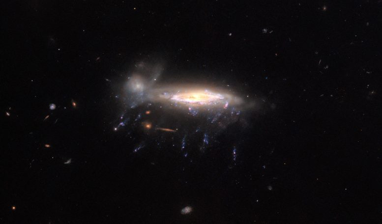 Hubble JO204