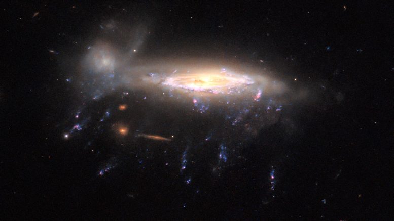 Hubble JO204
