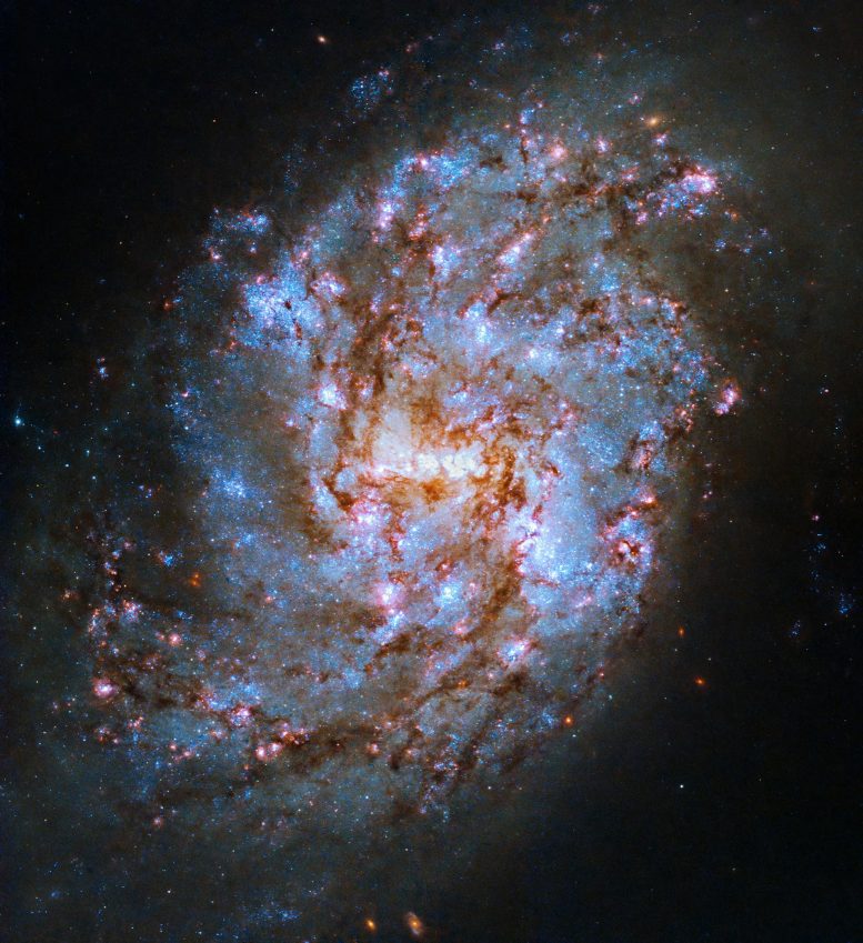 Hubble NGC 1087