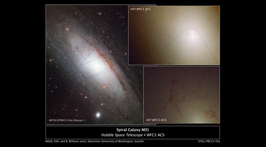 Hubble Observes Rare Blue Stars in Andromeda's Core