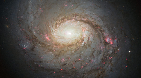 Hubble Views the Hidden Depths of Spiral Galaxy Messier 77 Hubble-Space-Telescope-Image-of-Spiral-Galaxy-Messier-77
