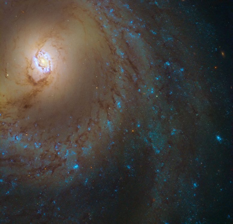 Hubble Space Telescope Reveals Spiral Galaxy Messier 95